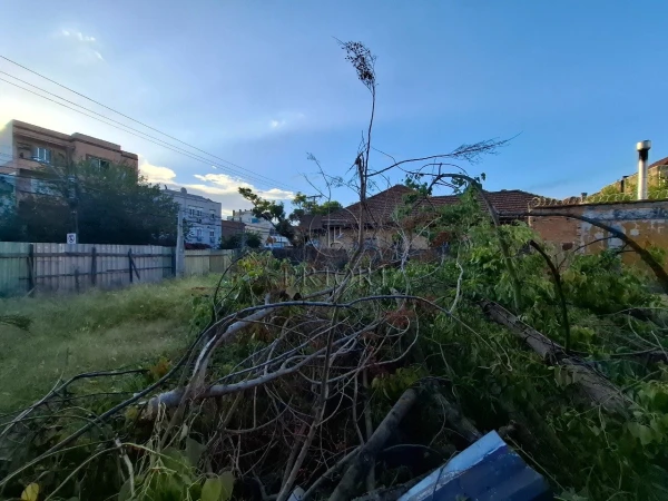 Foto de 