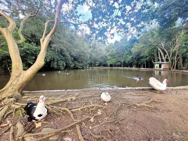 Foto de 