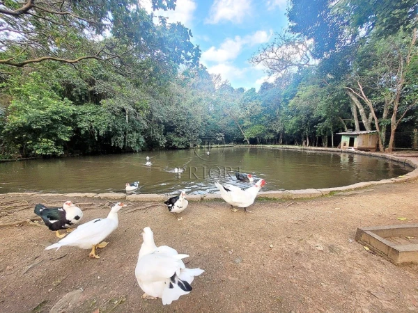 Foto de 