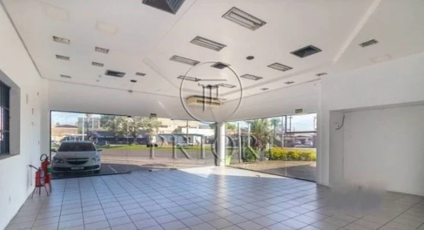 Foto de 