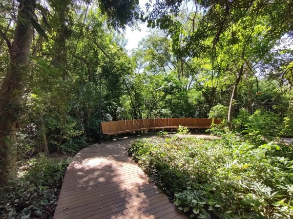 Foto de 