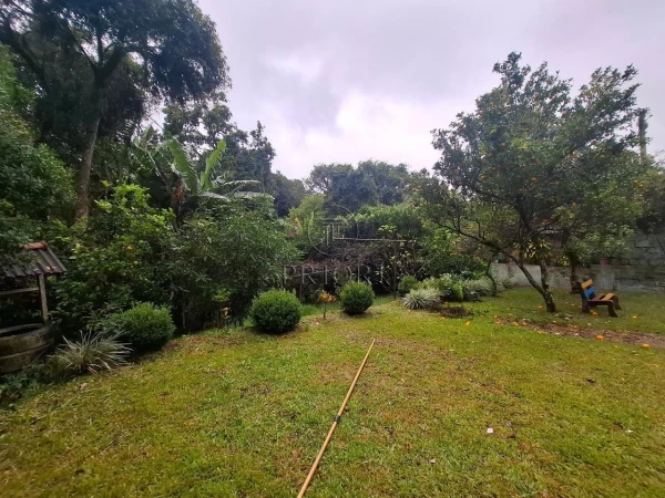 Foto de 