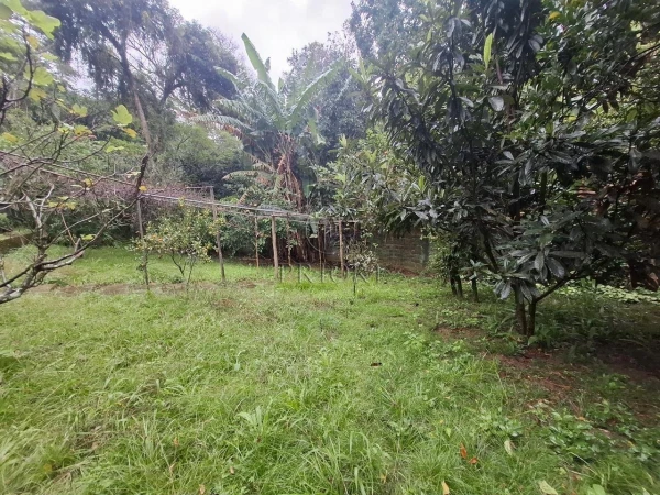 Foto de 