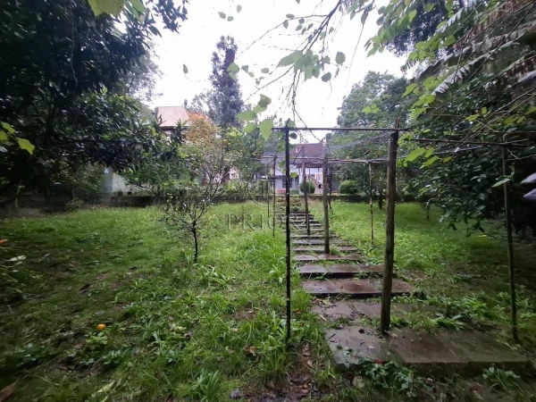Foto de 