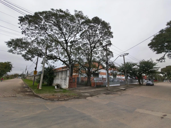 Foto de 