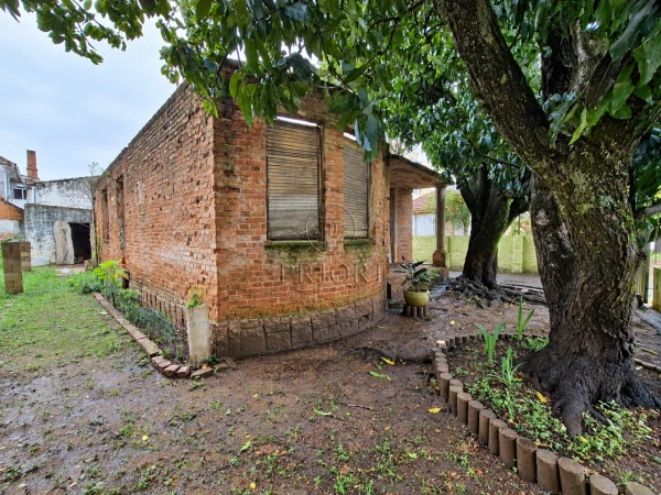 Foto de 