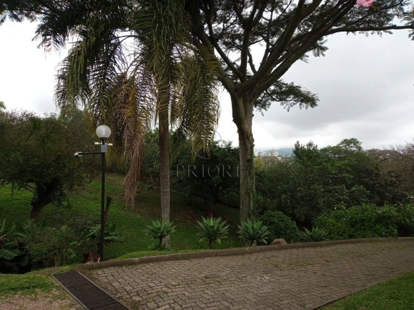 Foto de 